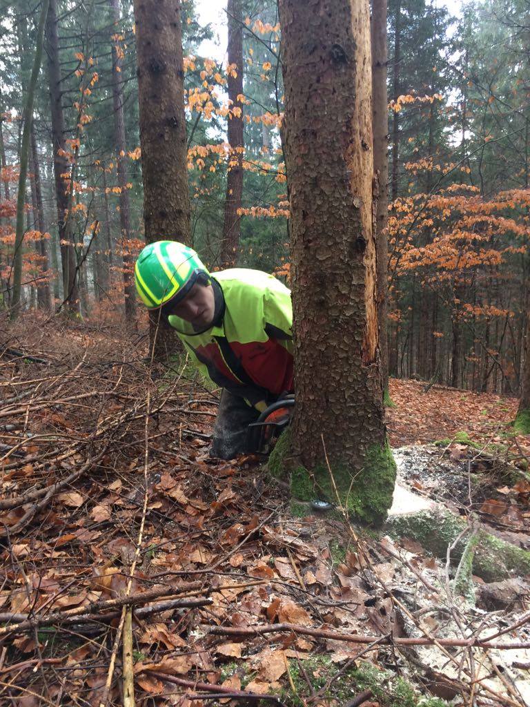 26221108_182733329130465_7184210315187150412_o