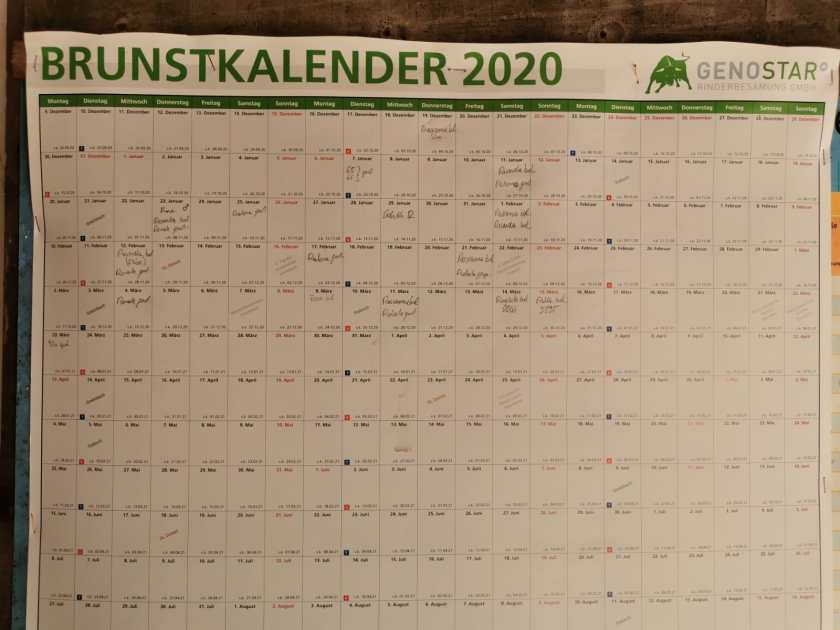 Brunstkalender