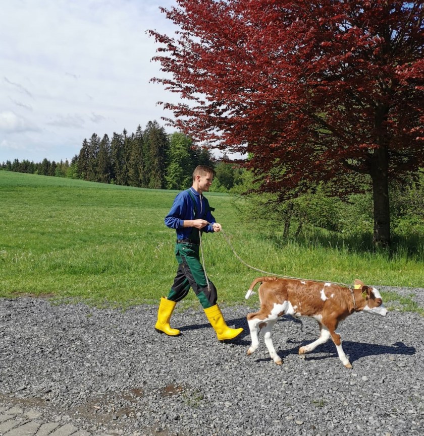 IMG-20200506-WA0007_1