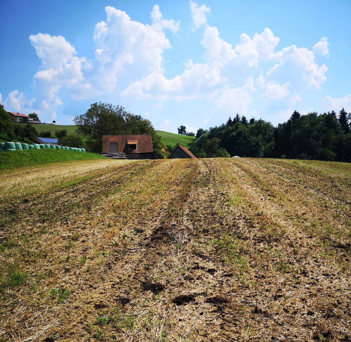 Von den Düngern am&nbsp;Hof.